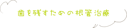 歯を残すための根管治療